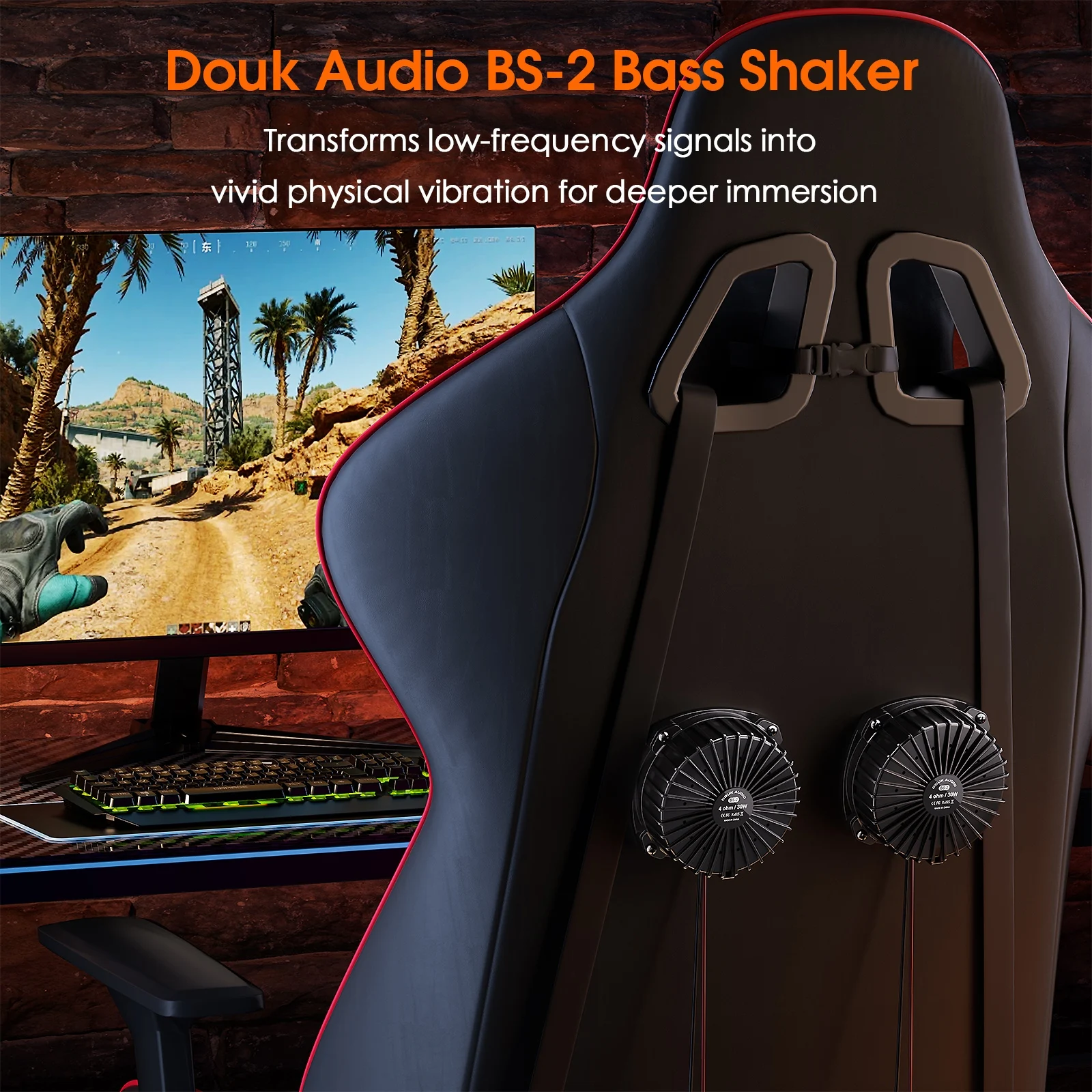 Douk Audio BS-2 30W 4Ω Bass Sh - Home Cinema Installation avis et prix